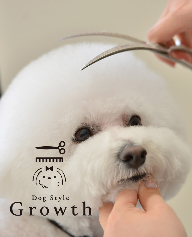 Dog Style Growth