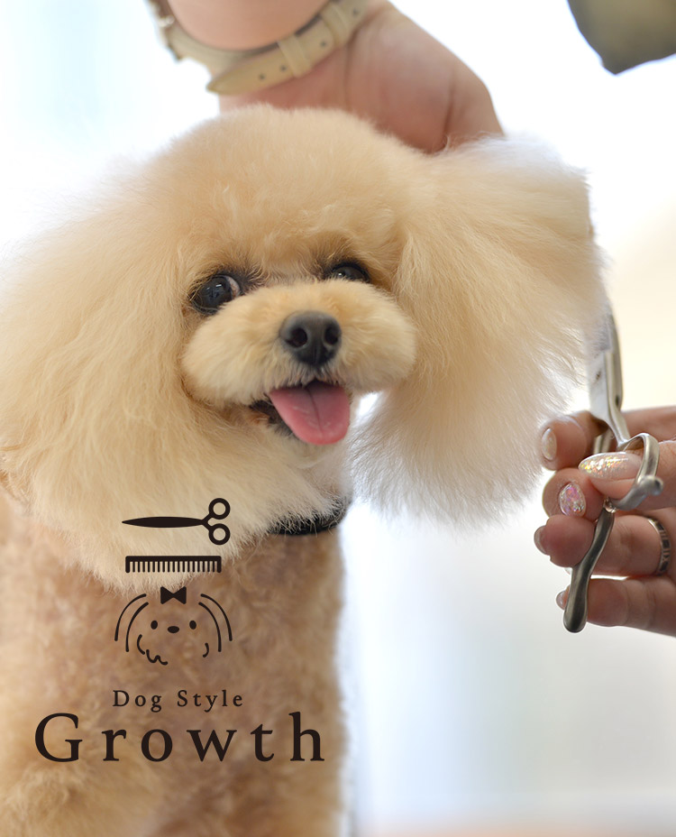 Dog Style Growth