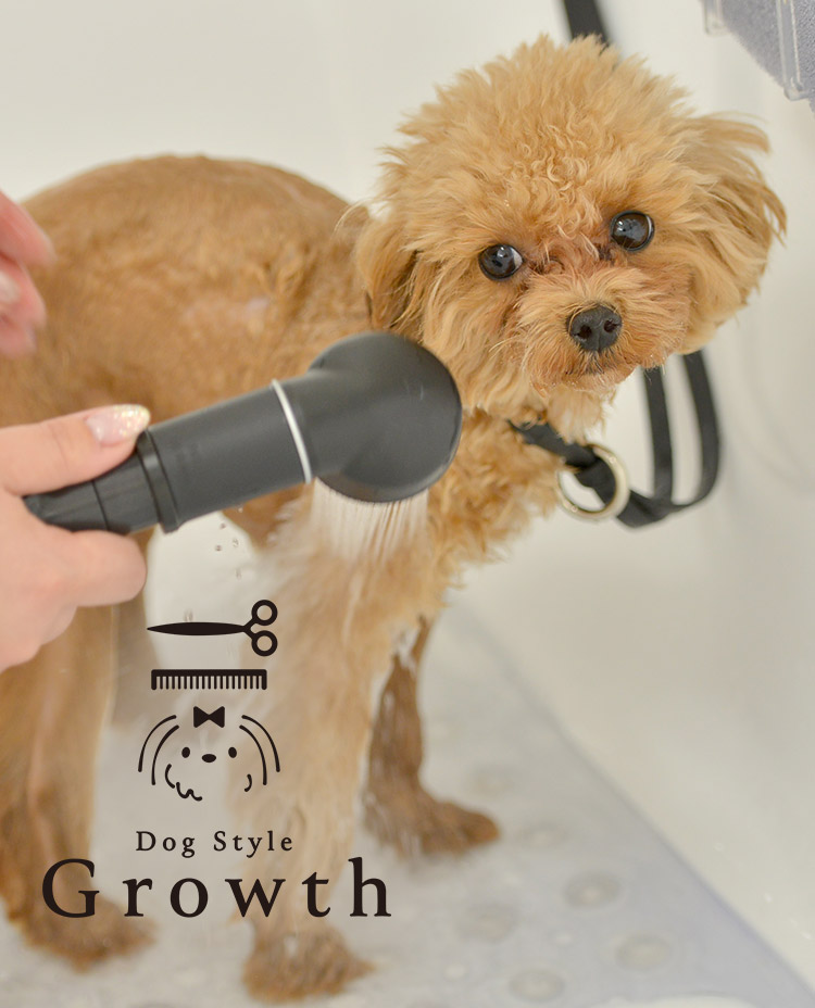 Dog Style Growth